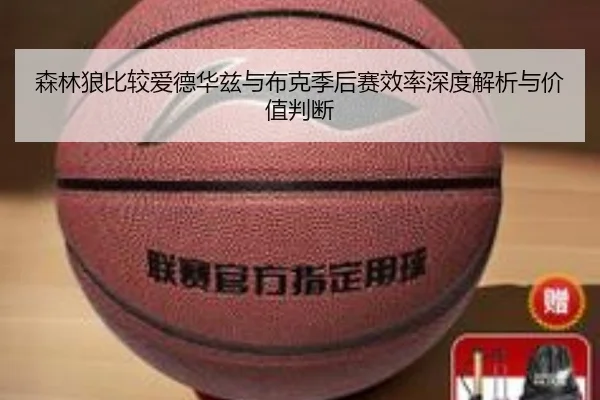 森林狼比较爱德华兹与布克季后赛效率深度解析与价值判断