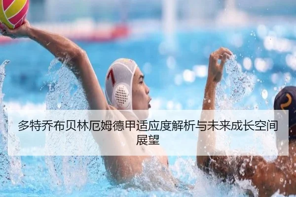 多特乔布贝林厄姆德甲适应度解析与未来成长空间展望